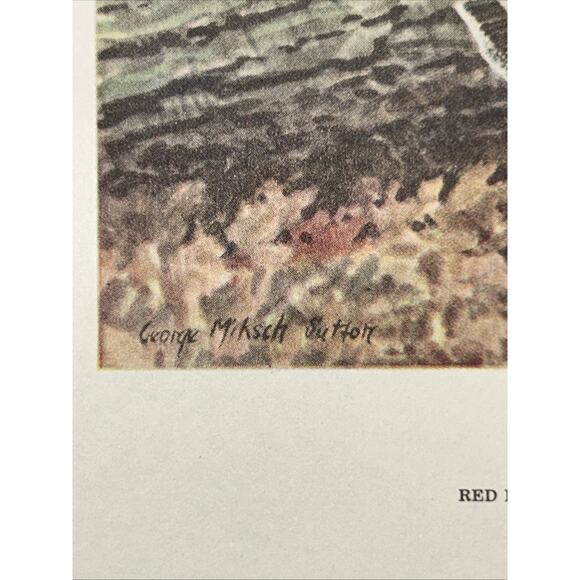 VTG Grouse Bookplate George Miksch Sutton Lithograph Bird Portraits In Color - Picture 7 of 9
